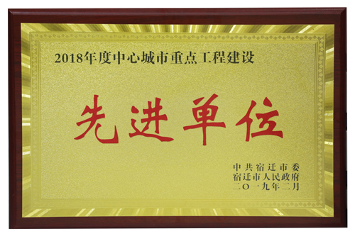 2018年度中心城市重点工程建设先进单位